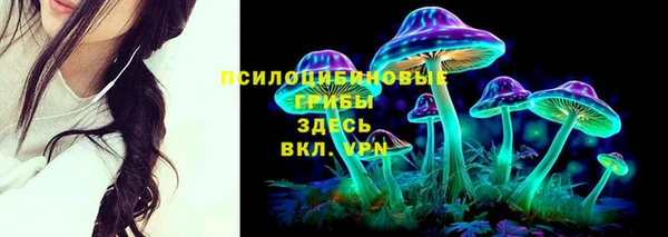 apvp Алексин