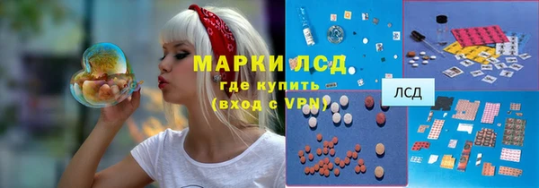 apvp Алексин