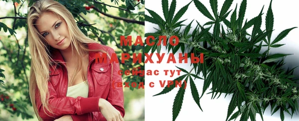 apvp Алексин