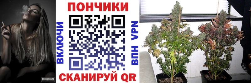 закладки Нижний Новгород Бошки Шишки OG Kush